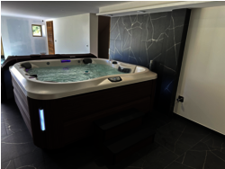 Spa J 355 Coloris silverpearl Modern Hardwood 01410 LELEX 